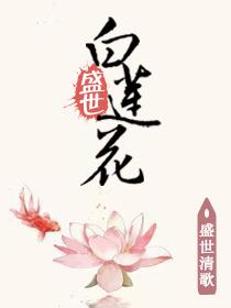 盛世黑莲花简介