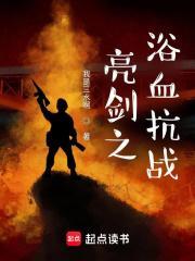 亮剑之h