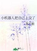 小机器人把自己上交了23免费