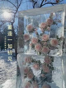 初见重逢再见