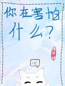 请问我小猫