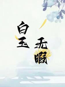 字谜白玉无瑕打一字