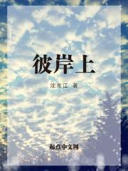 彼岸上海光电科技有限公司 杨振云