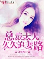 总裁大人追夫记