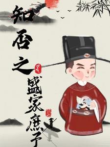 知否之盛家庶子作者陌云兮