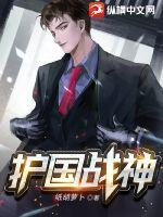 护国战神杨风免费阅读