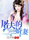 屠夫的娇妻讲的什么故事